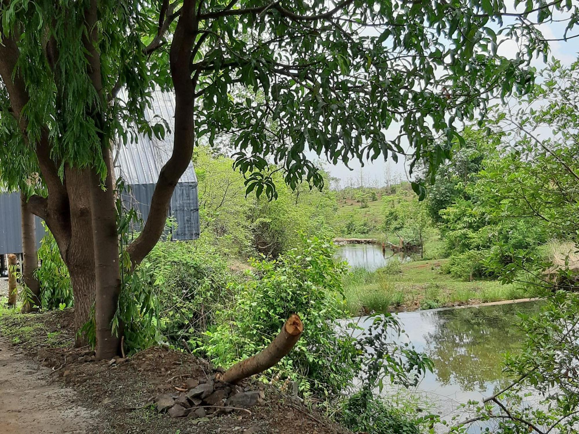 River Ranch Saralgaon Dış mekan fotoğraf